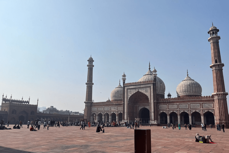 Delhi: Old and New Delhi Private Full or Half-Day Tour Full Day Tour with Guide Only - (Without Car & Driver)