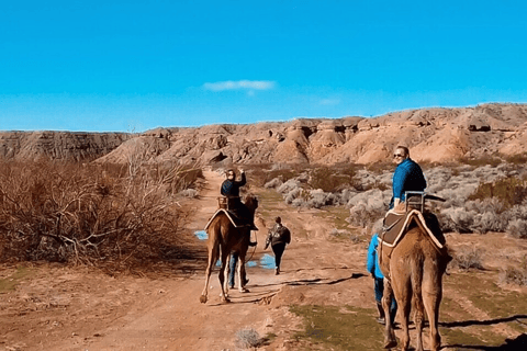 Las Vegas: Desert Camel Ride