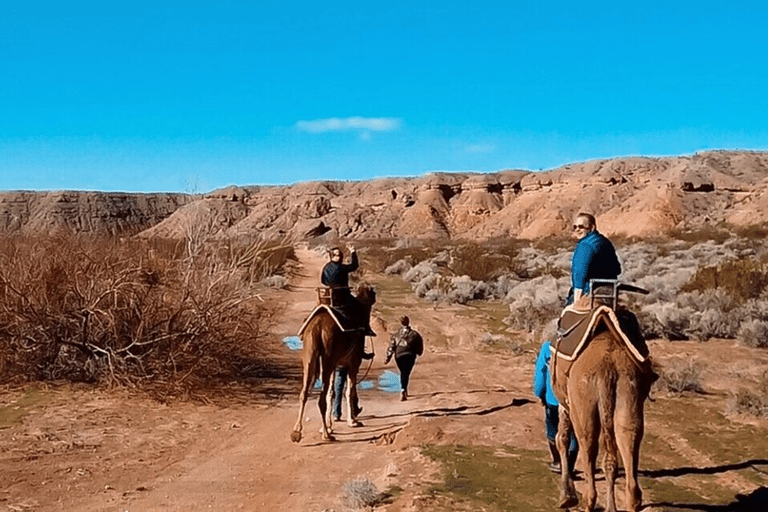 Las Vegas: Desert Camel Ride