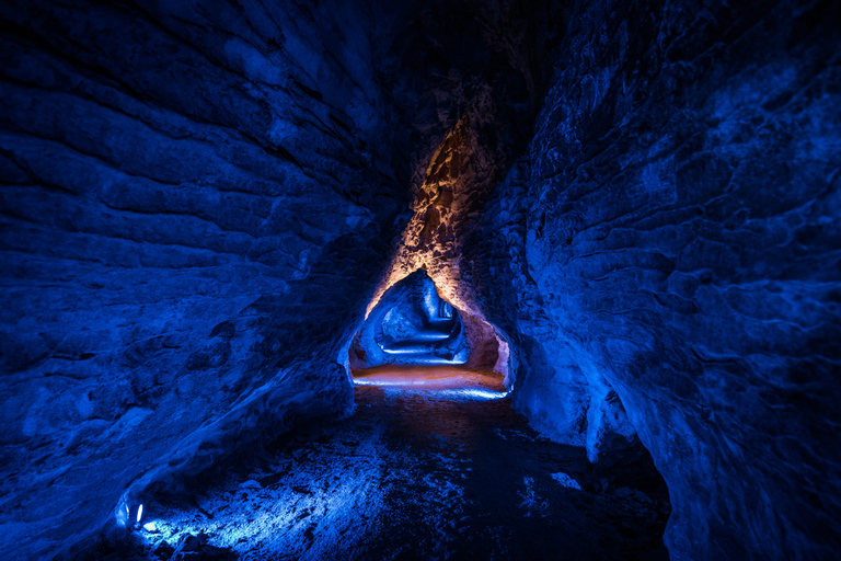 Au départ d&#039;Auckland : Excursion d&#039;une journée au ver luisant de Waitomo et aux grottes de Ruakuri