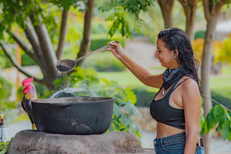 Punta Cana: Buggies, Zipline, Horses & Cenote Swim Combo