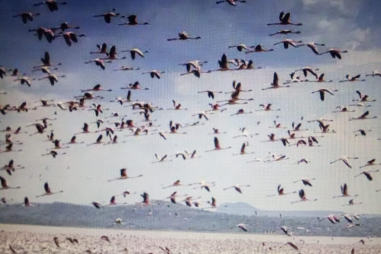Nairobi: Lake Solai Tour in Great Rift Valley