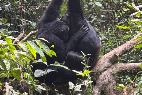 Uganda: 5-Day White Water Rafting, Jinja, and Kampala Tour