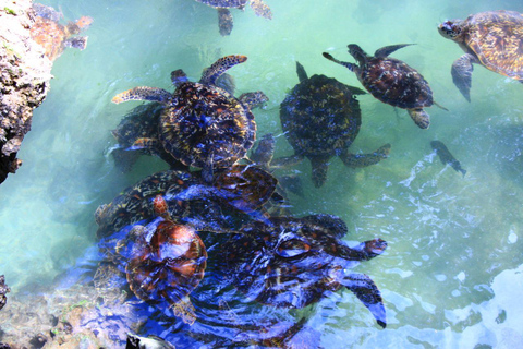 Joazani-bos en Salam-grot met entreegeld