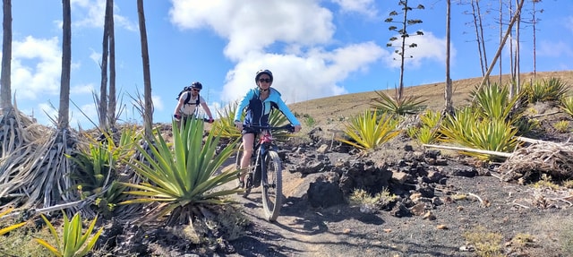 Lanzarote E-Bike Tour: Volcano Craters & Scenic Vineyards