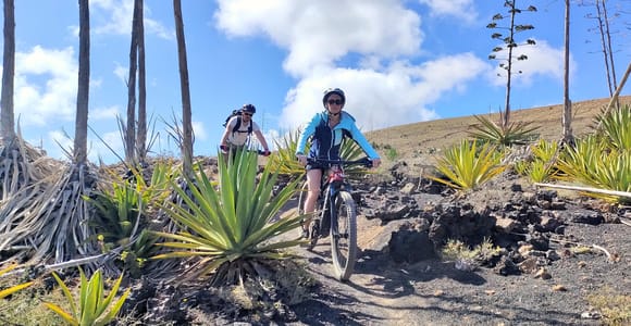 Lanzarote E-Bike Tour: Volcano Craters & Scenic Vineyards