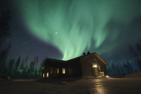Rovaniemi: New Year's Eve Special Aurora Safari