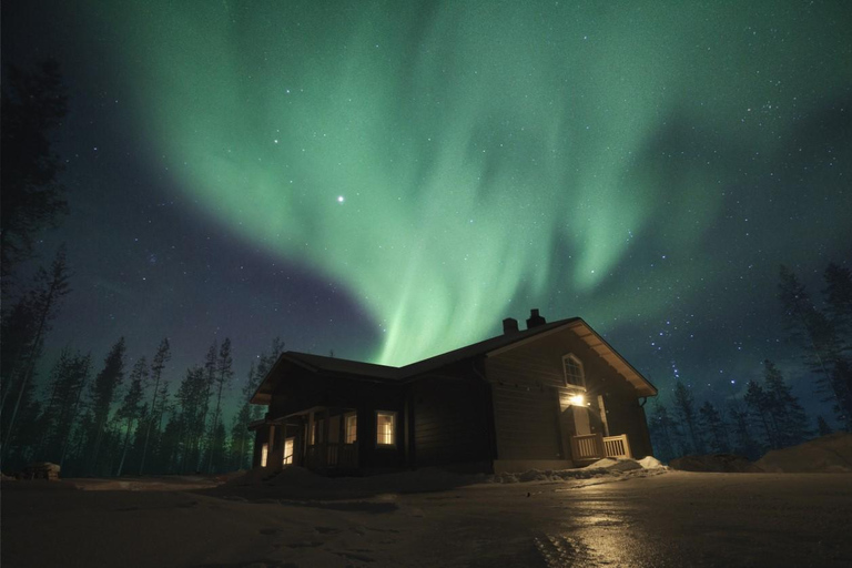 Rovaniemi: 2km Aurora Reindeer Safari Through the Forest