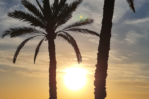 Süd-Djerba mit dem Roller: Olivenbäume, Töpferwaren und SonnenuntergangSüden von Djerba mit dem Roller: Olivenbäume, Töpferwaren und Sonnenuntergang
