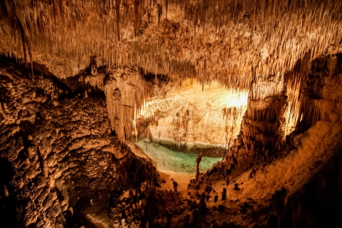Grottes de Drach  : journée d’excursion du NordDépart depuis la zone nord : demi-journée