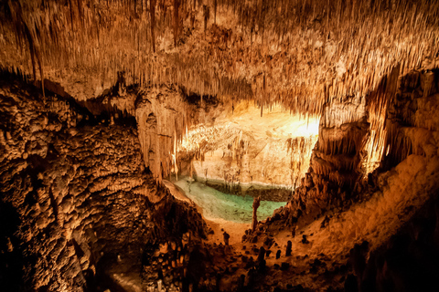 Mallorca: Caves of Drach Tour from the North with Boat TripPalma de Mallorca Meeting Point