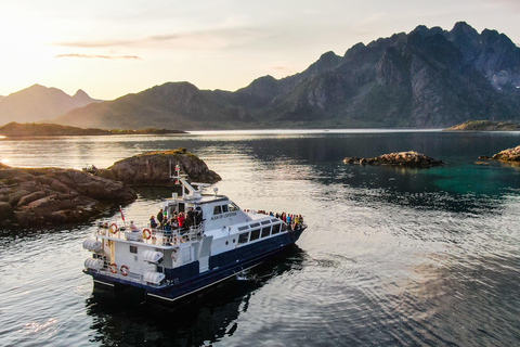 Da Svolvær: Crociera Lofoten Trollfjord e safari alle aquile di mareLofoten: crociera nel Trollfjord con safari per avvistare aquile di mare