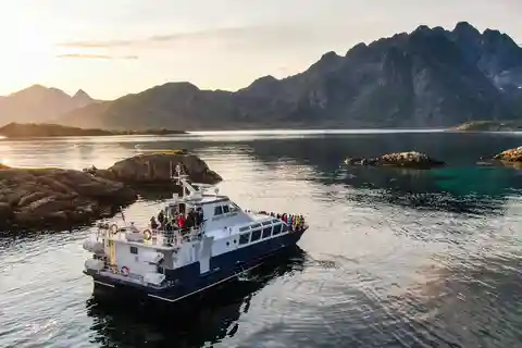 From Svolvær: Lofoten Trollfjord Cruise & Sea Eagle Safari