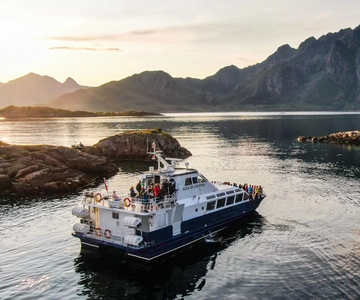 From Svolvær: Lofoten Trollfjord Cruise & Sea Eagle Safari