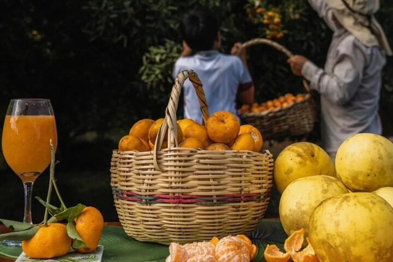 Galápagos : tortues géantes, tunnels de lave et cratèresGalápagos : visite guidée des tortues géantes, des tunnels de lave et des cratères