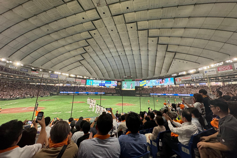 Japan Baseball Admission Ticket (Tokyo Stadiums)
