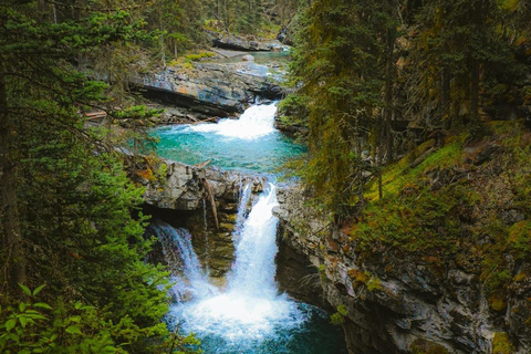 Banff/Canmore: Lake Louise, Moraine & Johnston Canyon Trip Pickup from Banff