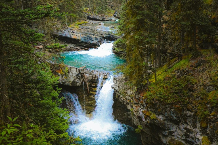 Banff/Canmore: Lake Louise, Moraine & Johnston Canyon Trip Pickup from Banff