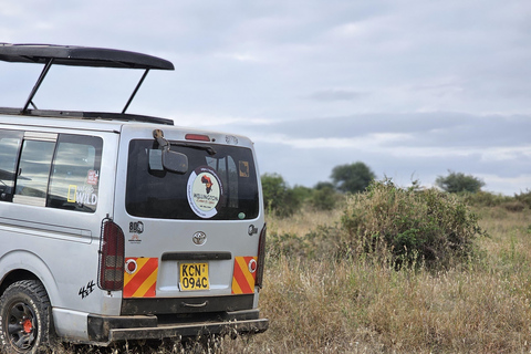 Nairobi Park Safari, Sheldrick's Orphanage & Giraffe Center Shared Drive in Open-Roof Van Game Drive