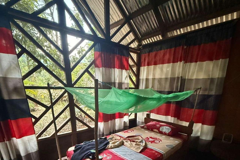 3-Day Amazon Expedition: Jungle, River & Wildlife Tour