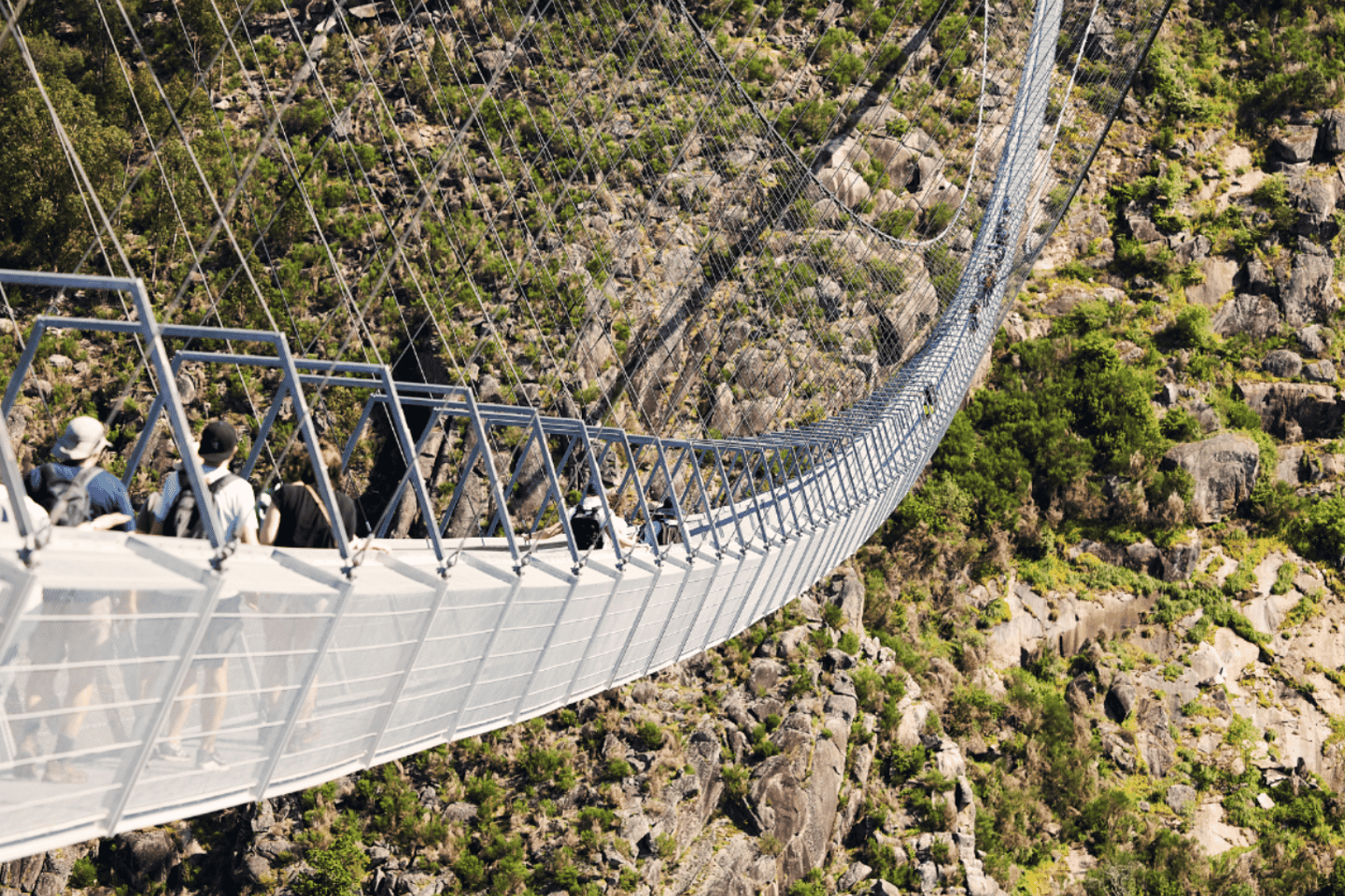Desde Oporto: Viaje Guiado de un Día a Arouca 516 y Pasarelas de Paiva
