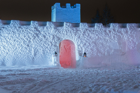 Arctic Fantasy Park Entry Ticket