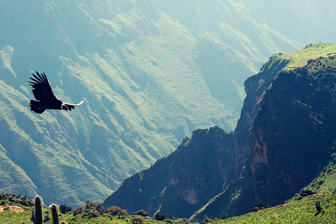 Arequipa : Chivay + Colca Canyon ViewpointChivay