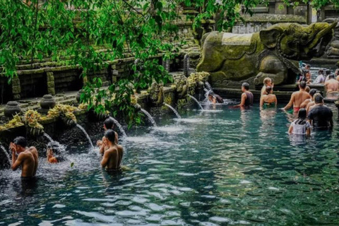 بالي: غابة القرود، شرفة الأرز، معبد الماء، الشلالجولة خاصة مع تذكرة الدخول والغداء