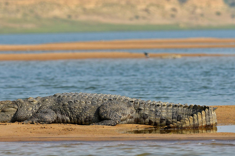 Von Delhi aus: Private Chambal River SafariTransport und Guide Service