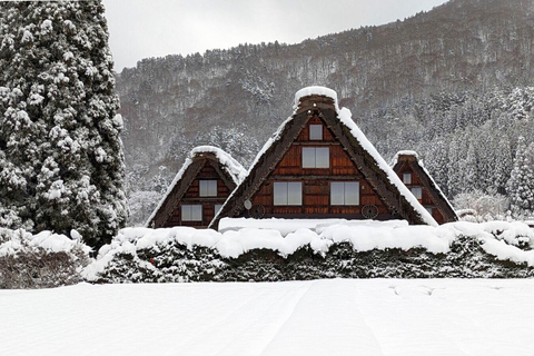 From Nagoya: Snow Day in the Japan Alps & Shirakawago Nagoya (tour + rental snow wear)