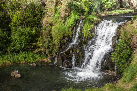 Visite des chutes d&#039;eau d&#039;Auckland