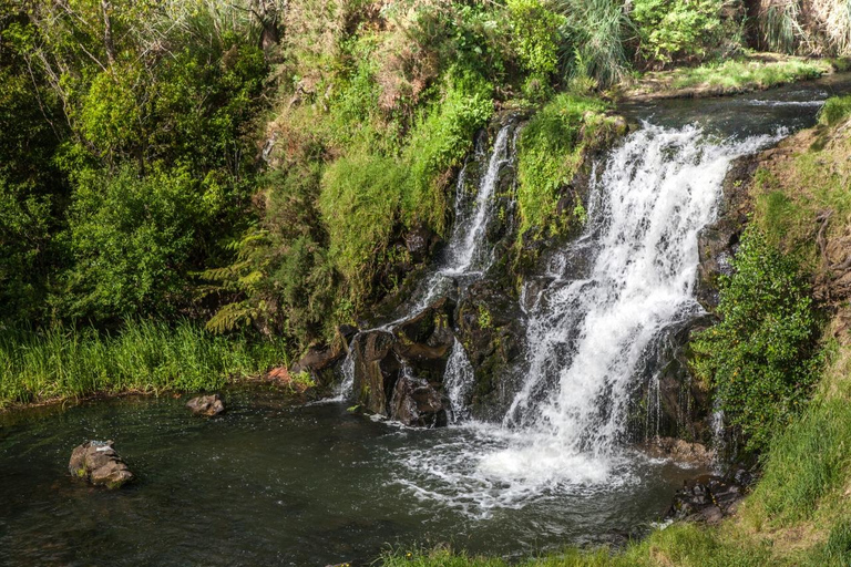 Wycieczka nad wodospad w Auckland