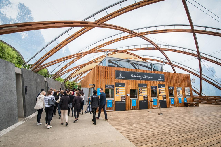 Vanuit Auckland: Waitomo glimworm en Ruakuri grotten dagtour