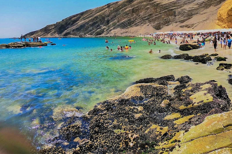 جولة إيكا-باراكاس: الجزر والمحميات والعودة