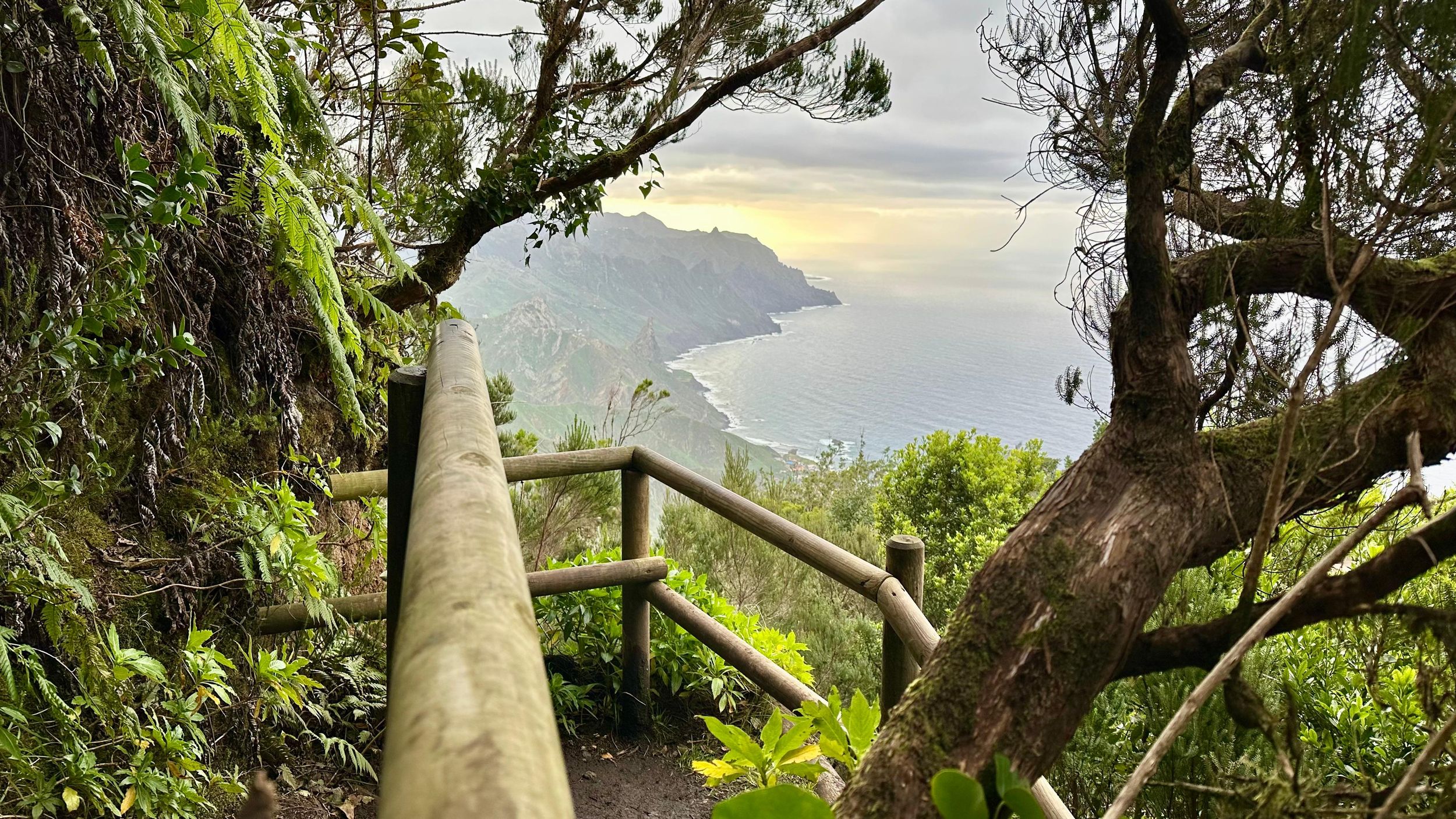 Teneriffa: Geführte Wanderung im Anaga-Gebirge. El Pijaral. Transfer inklusive.
