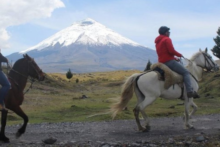 Quito: Jazda konna w Parku Narodowym Cotopaxi z lunchem
