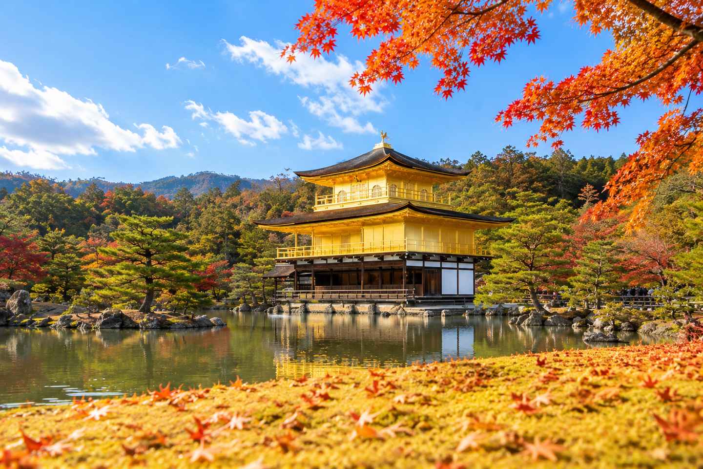 Osaka/Kyoto: Kinkaku-ji, Arashiyama & Fushimi Inari Bus Tour - Kyoto Departure (Meet at 9:00AM)/Meals not included
