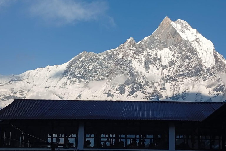 Pokhara: 7-Day Annapurna Base Camp Express Trek