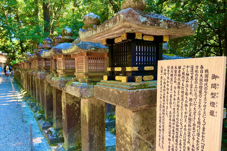 Visite privée de Nara. Le cœur ancien du Japon