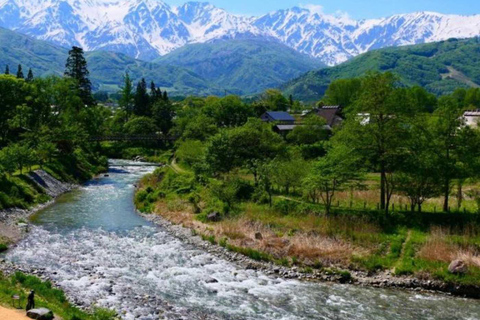 طوكيو جولة خاصة ليوم واحد في حديقة القرود الثلجية ومعبد زينكوجيجولة قرد الثلج ومعبد زينكوجي في سيا