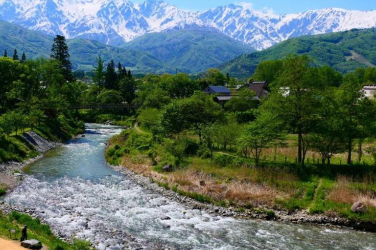 طوكيو جولة خاصة ليوم واحد في حديقة القرود الثلجية ومعبد زينكوجيجولة قرد الثلج ومعبد زينكوجي في سيا