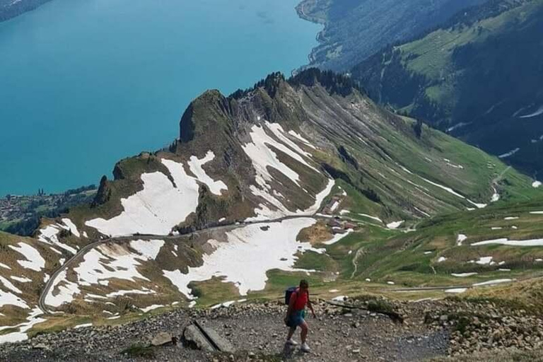 Zurich: Bernese Alps Tour with Lake Cruise & Steam Train Special Offer