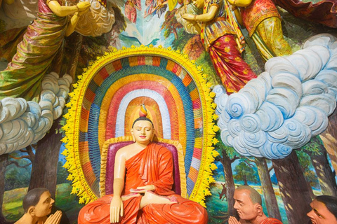 Negombo: Private City Tour with Ayurvedic Massage & Lunch