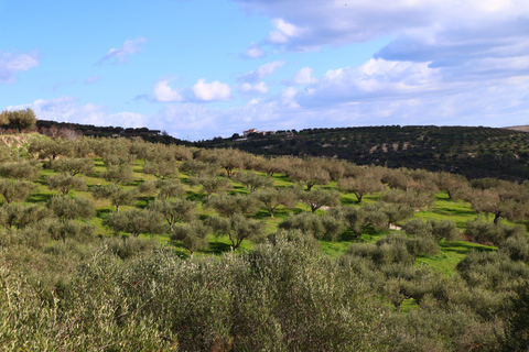 Heraklion: Olive Farm Tour with Tasting of Local Delicacies