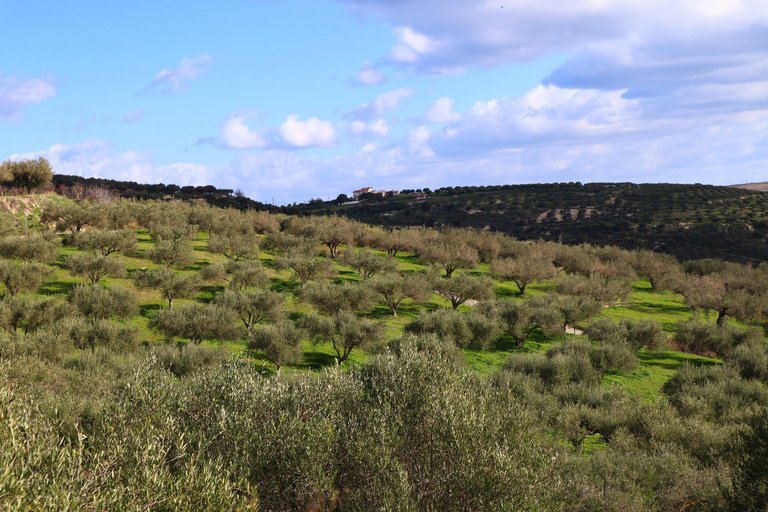 Heraklion: Olive Farm Tour with Tasting of Local Delicacies