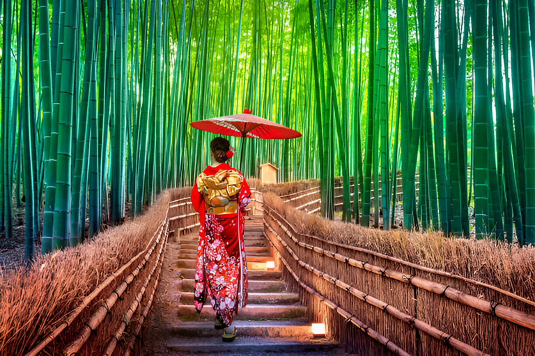 Osaka/Kobe: Tour guiado particular pela região de Kansai - Serviço de busca no hotelOsaka e Kobe: City Tour com serviço de busca no hotel