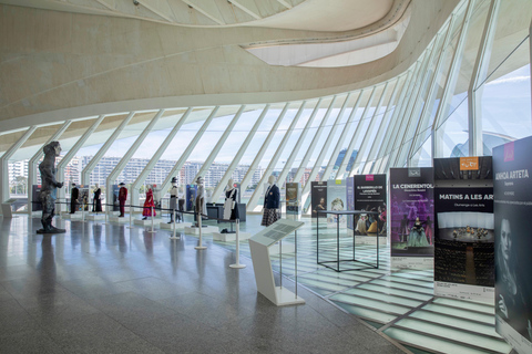 Valencia: Visit the Palau de Les Arts with an audio guide. Valencia: Check out the Palau de Les Arts with an audio guide.