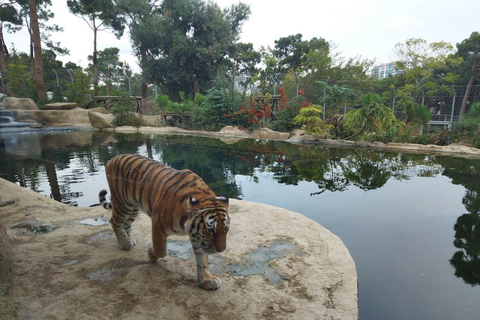 From Baku: Gala State Historical Reserve and Zoological Park