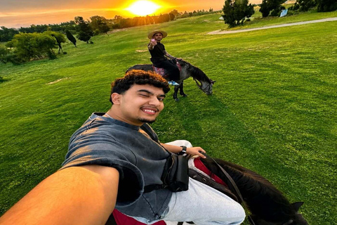 Hammamet: Sunset Horseback Riding Experience with Cocktail