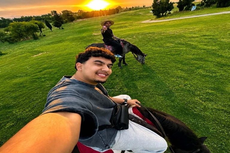 Hammamet: Sunset Horseback Riding Experience with Cocktail